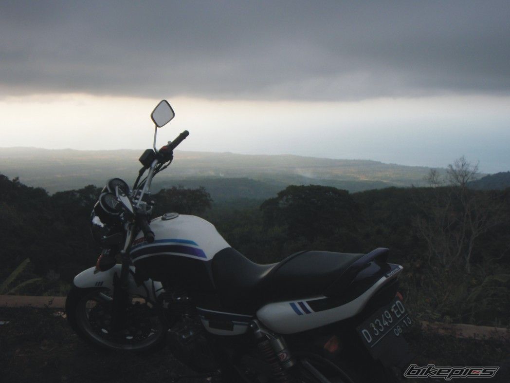 Photo 1376262