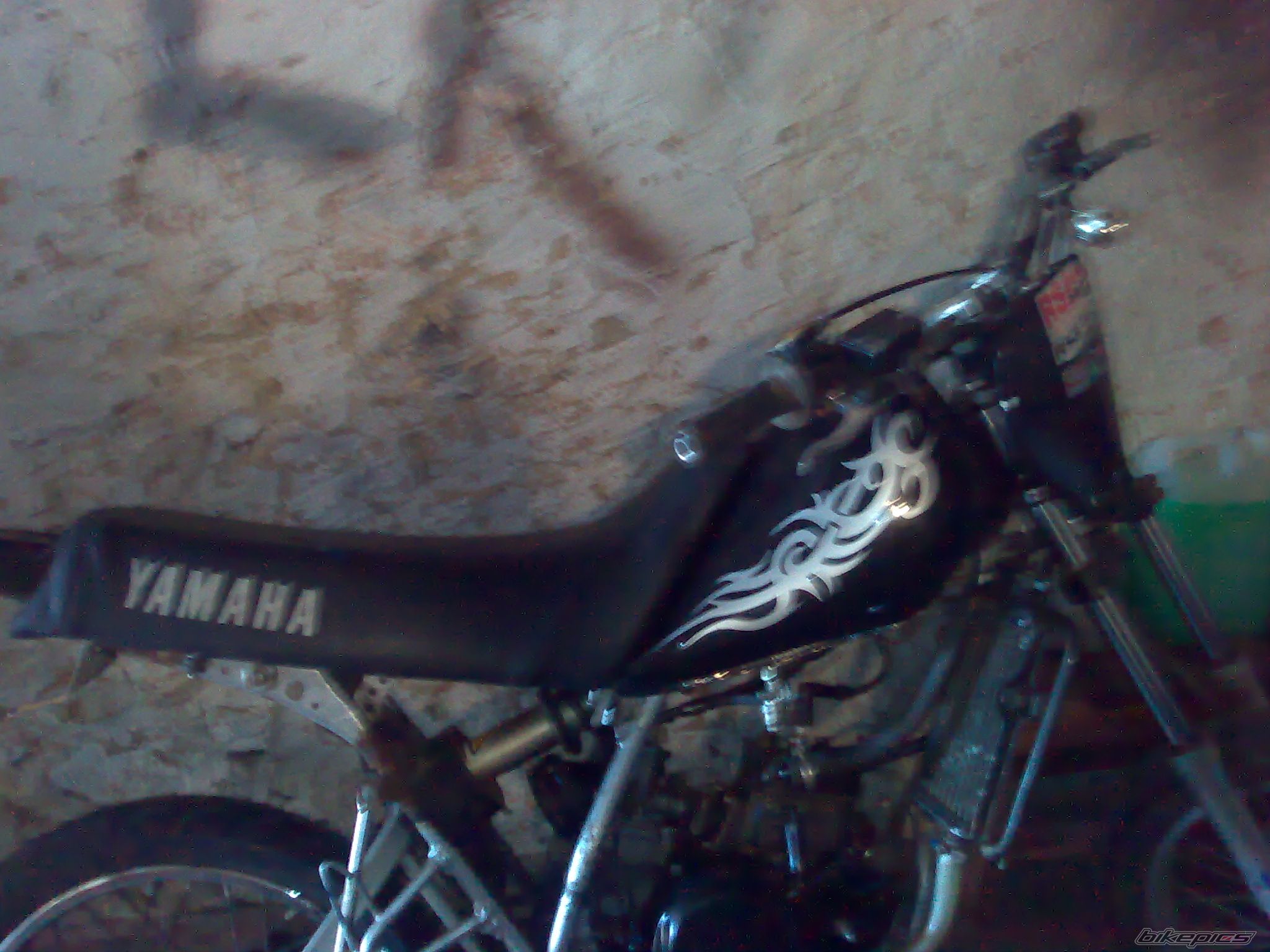 Photo 1376288