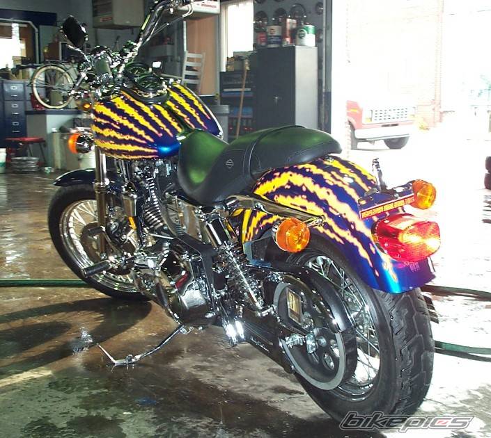 Photo 13763