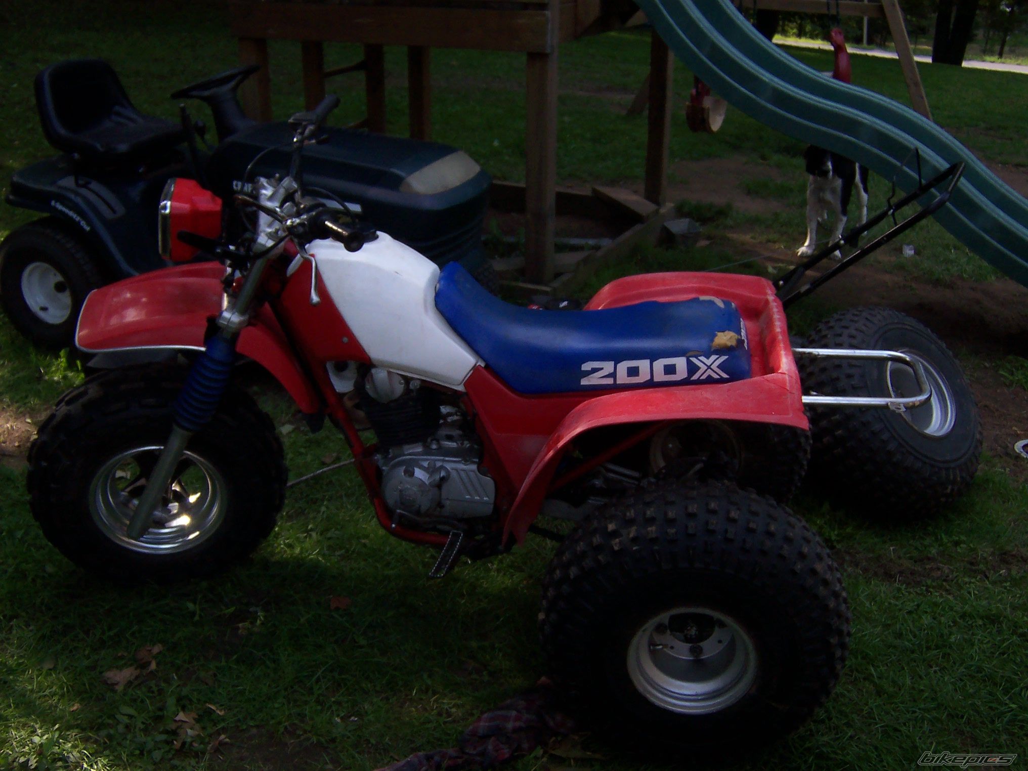 Photo 1376313