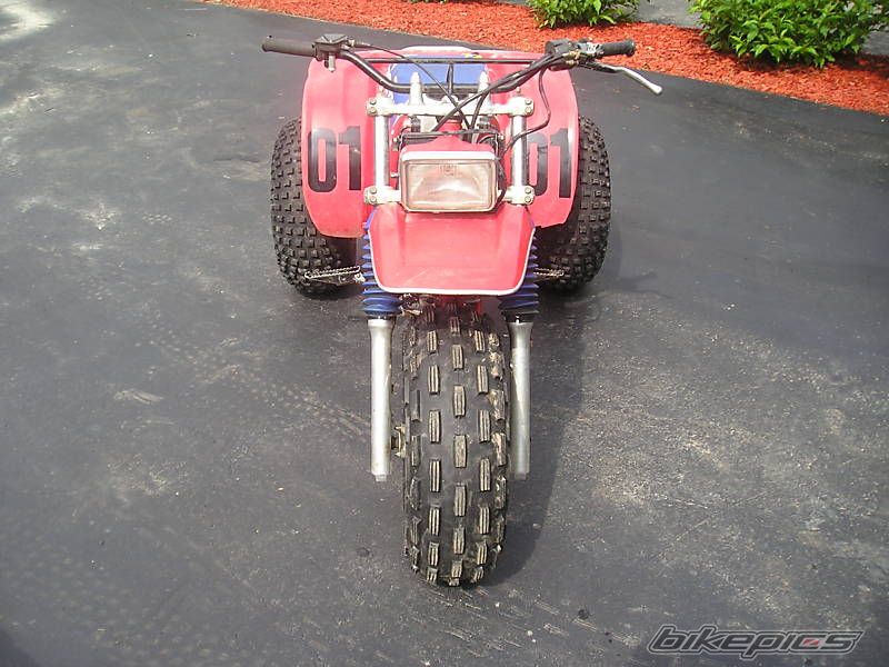 Photo 1376314