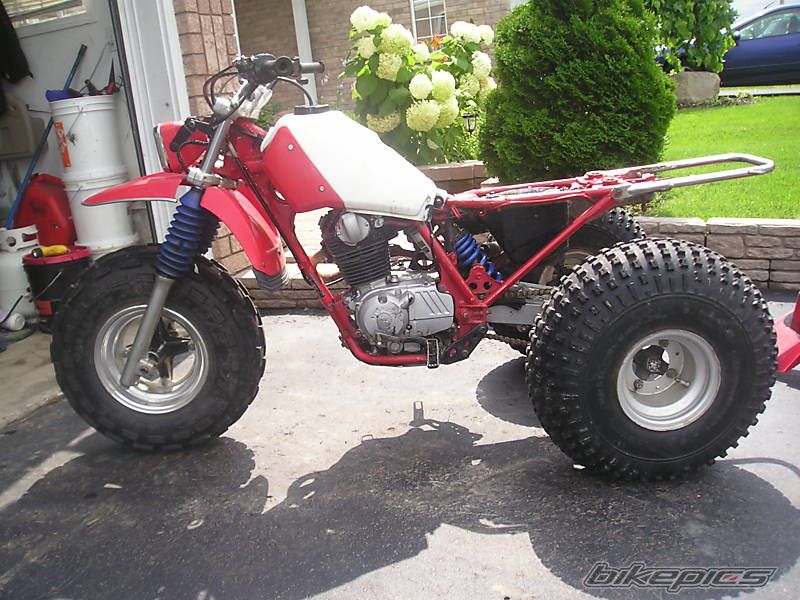 Photo 1376316
