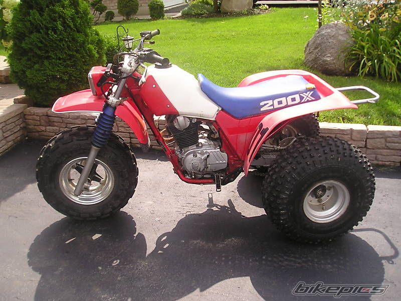 Photo 1376319