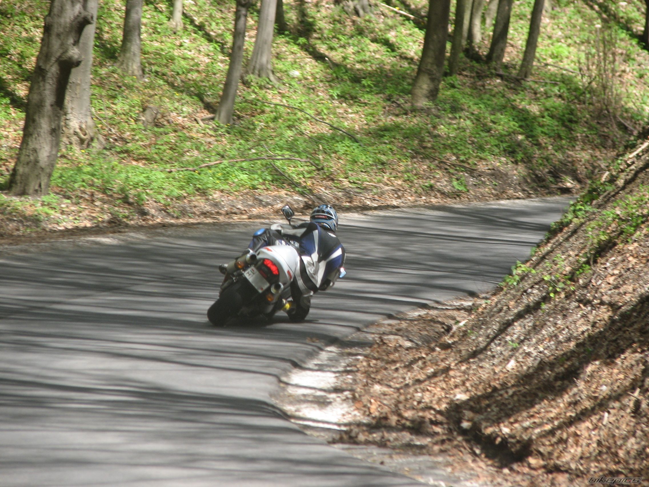 Photo 1376427