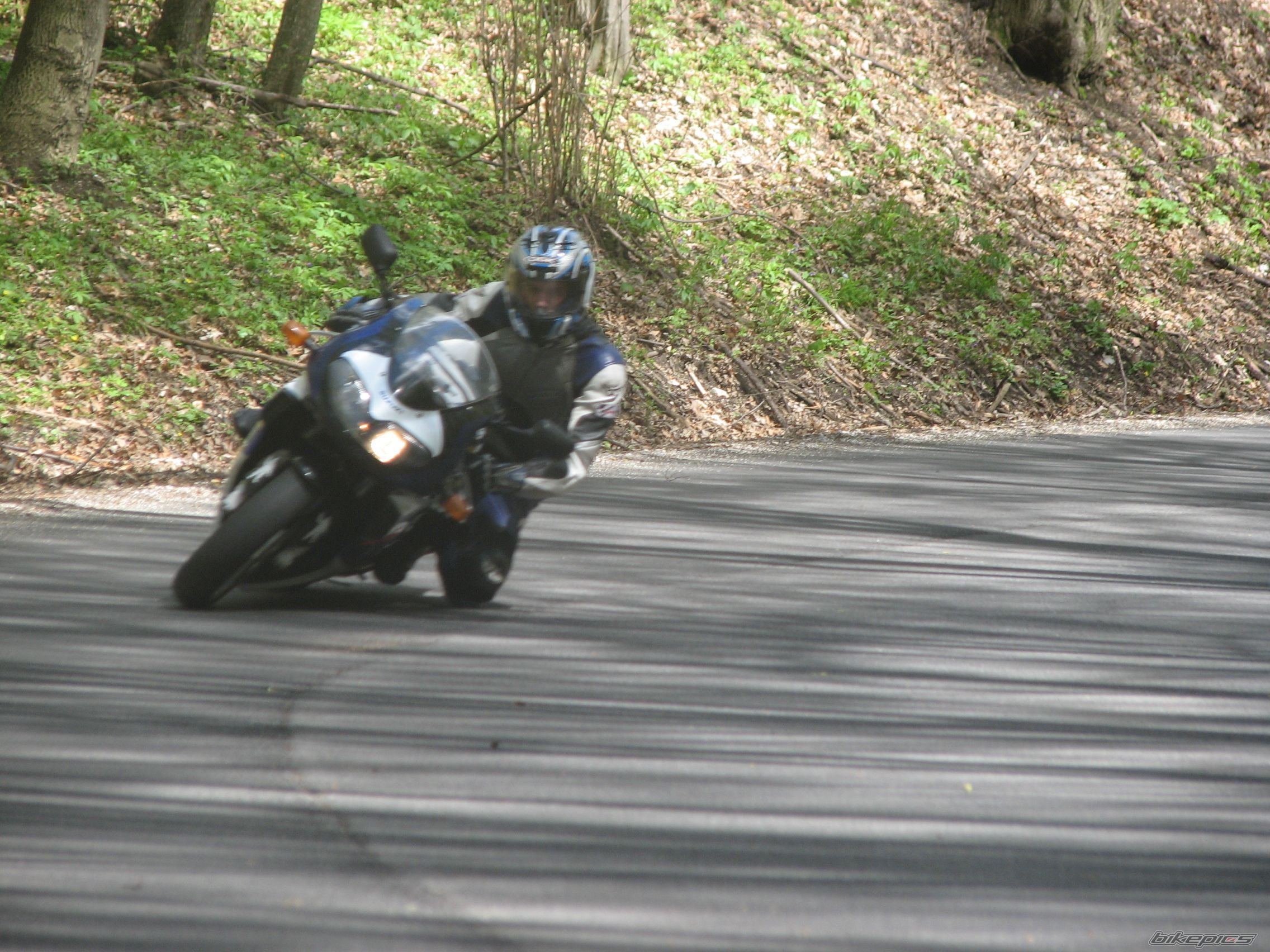 Photo 1376429