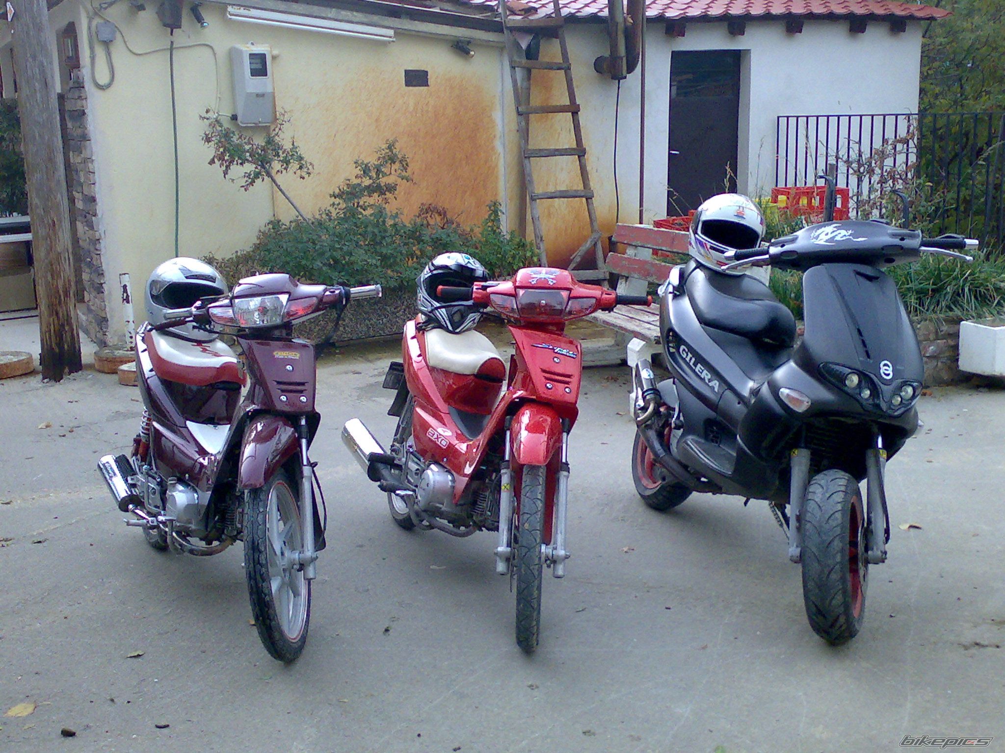Photo 1376479