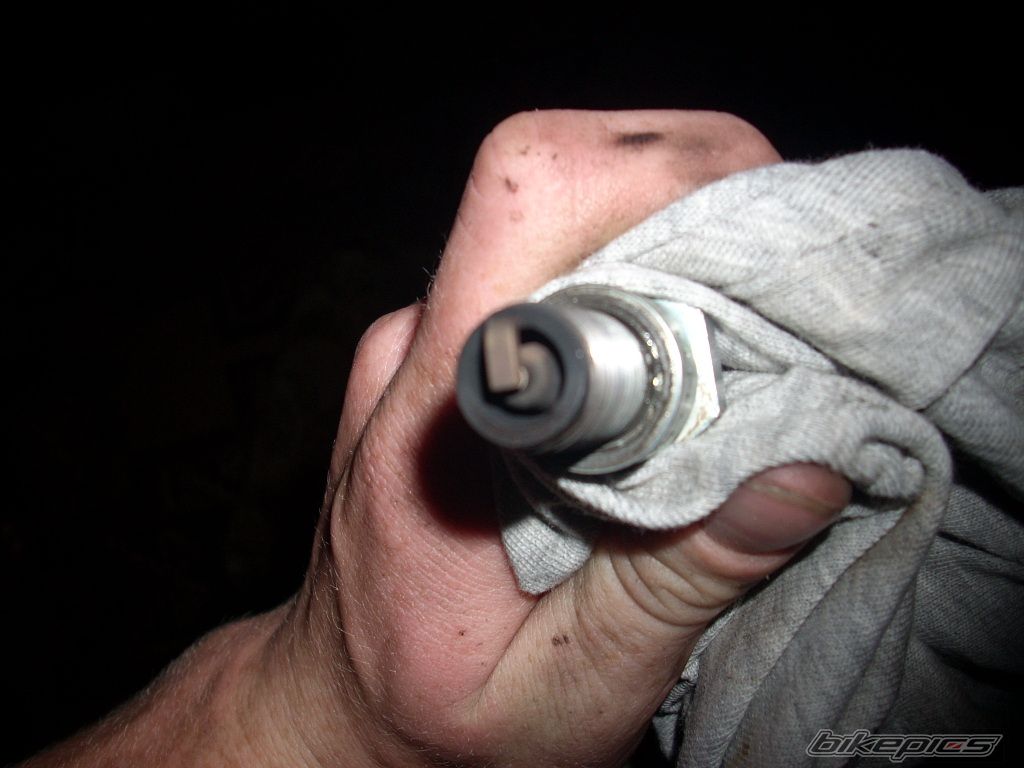 Photo 1376568