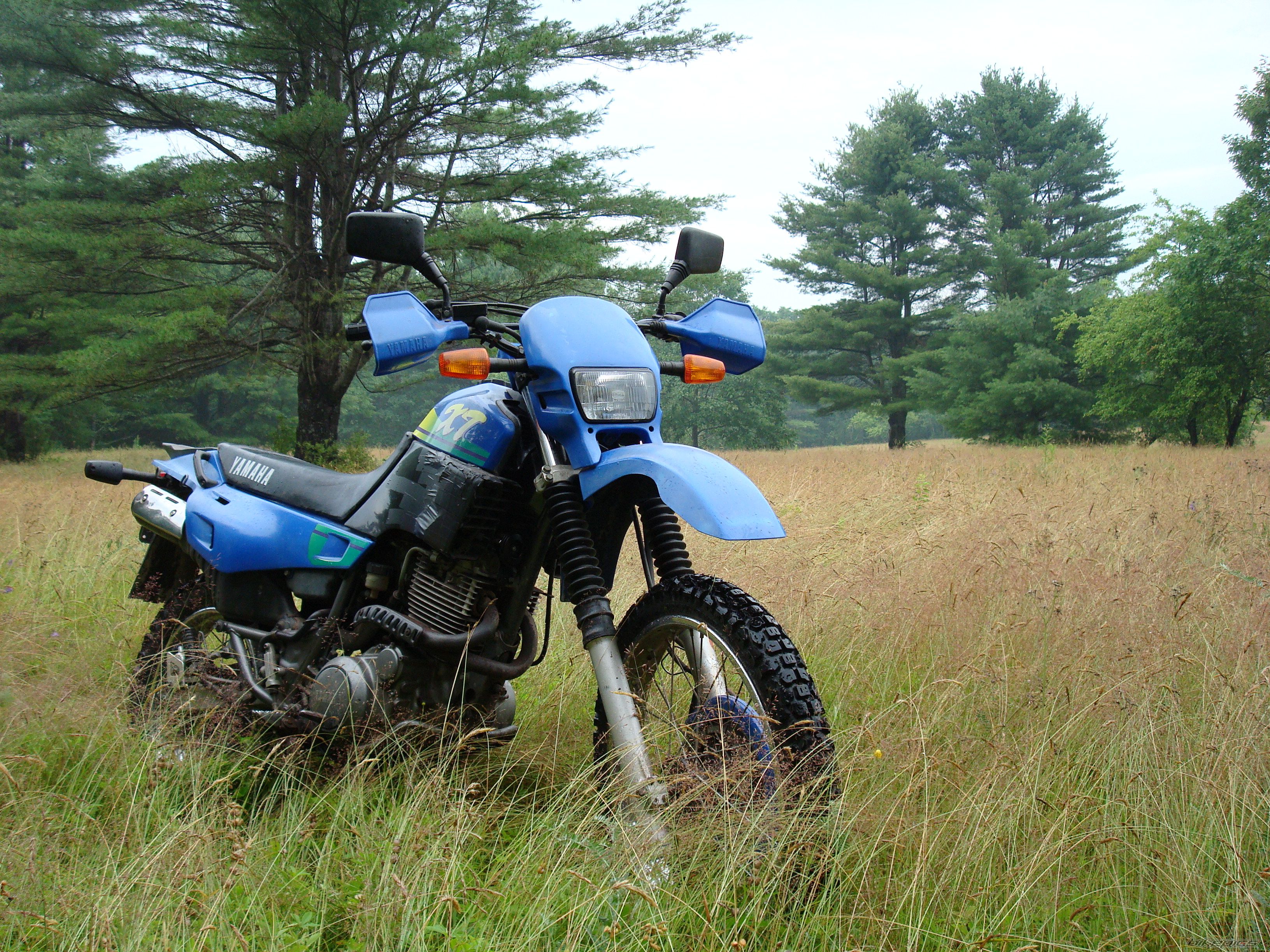 Bike Photo 1376580