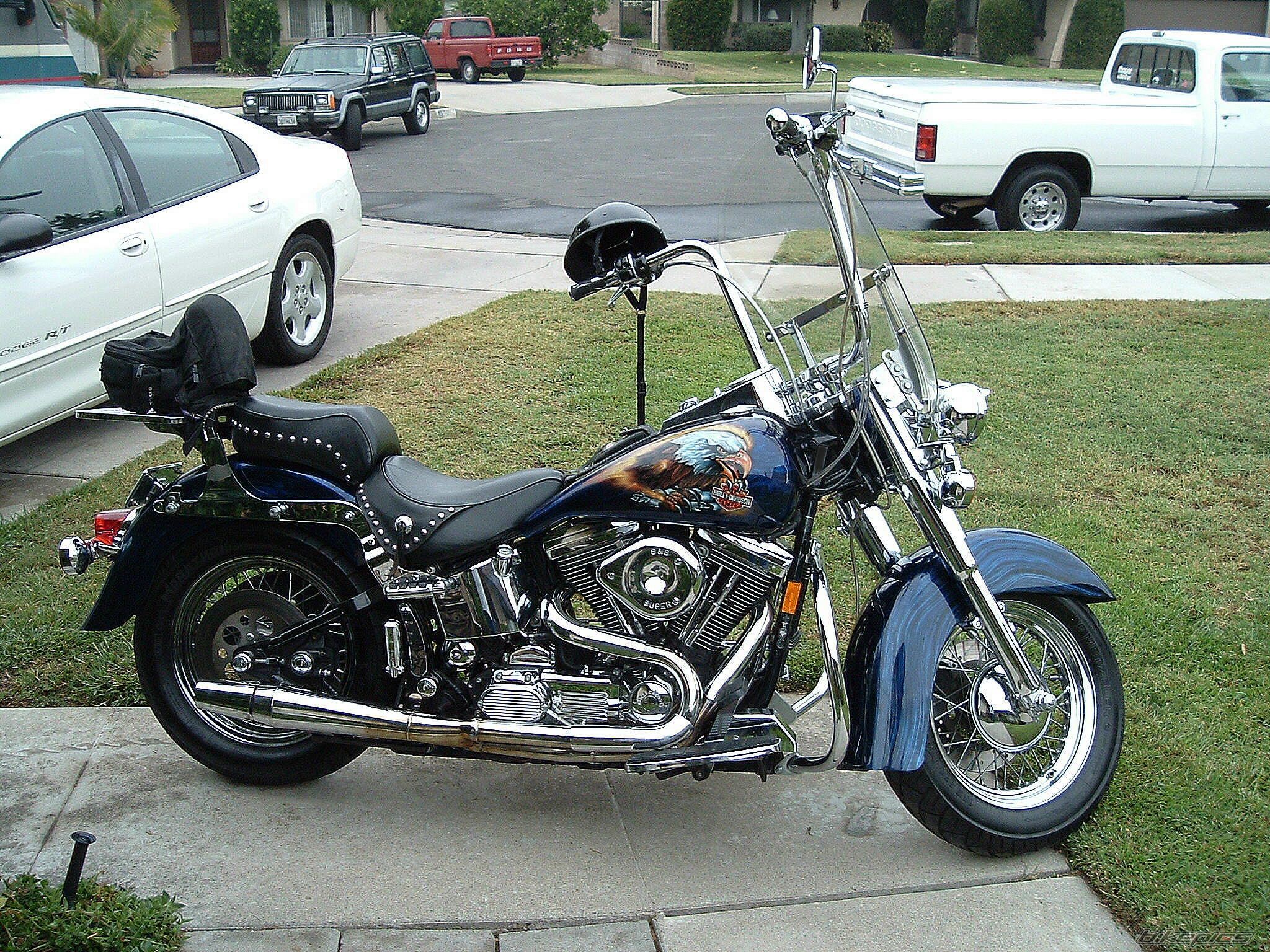 Photo 1376601