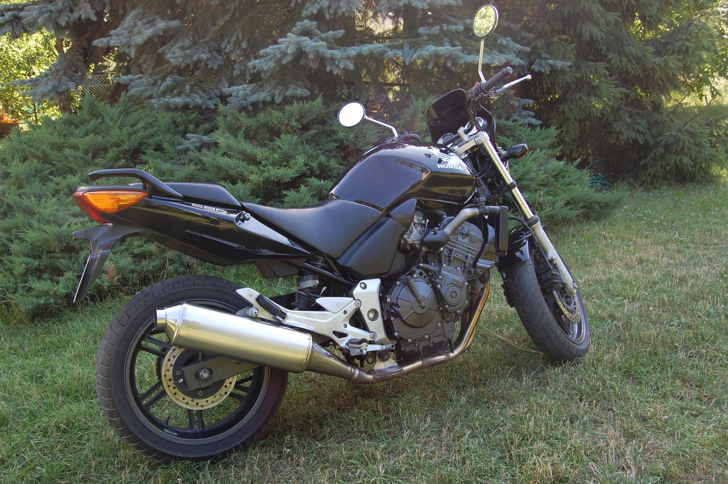 Photo 1376608