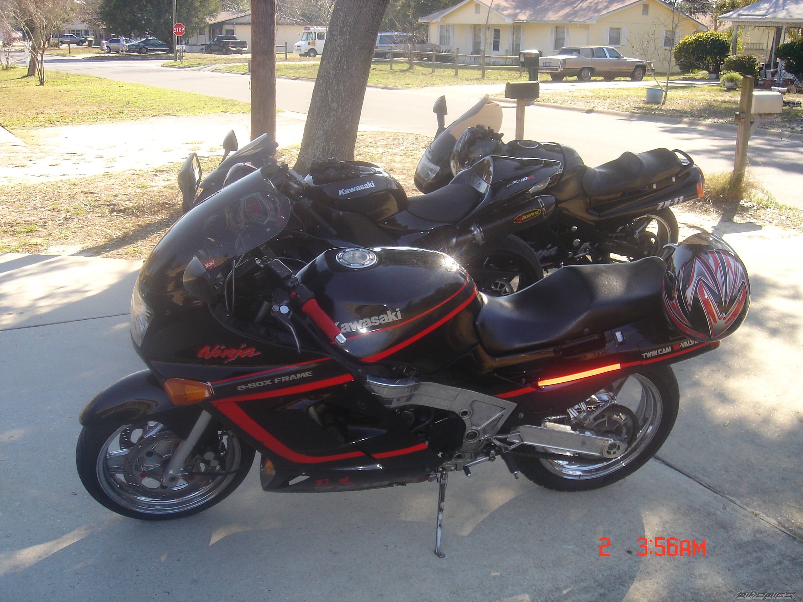 Photo 1376631