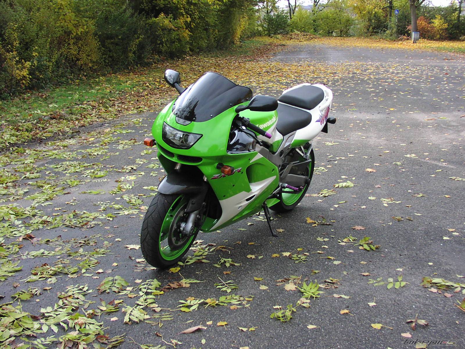 Photo 137664
