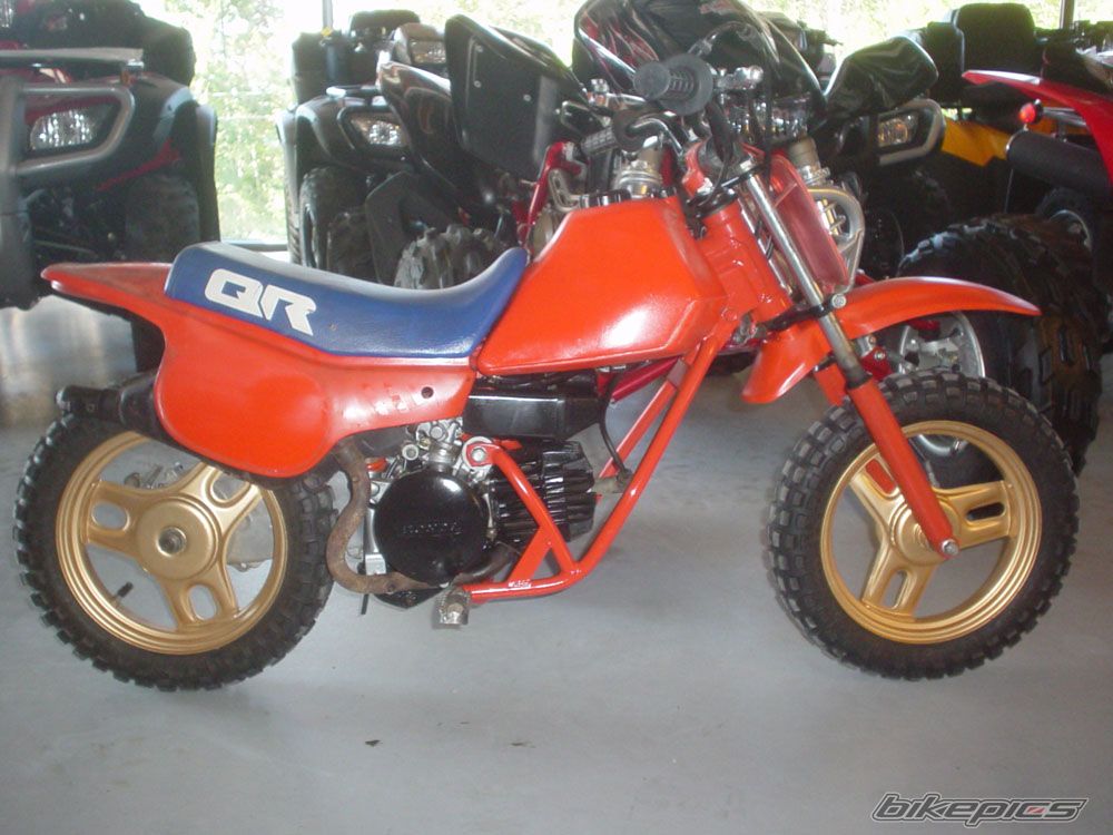 Photo 1376681