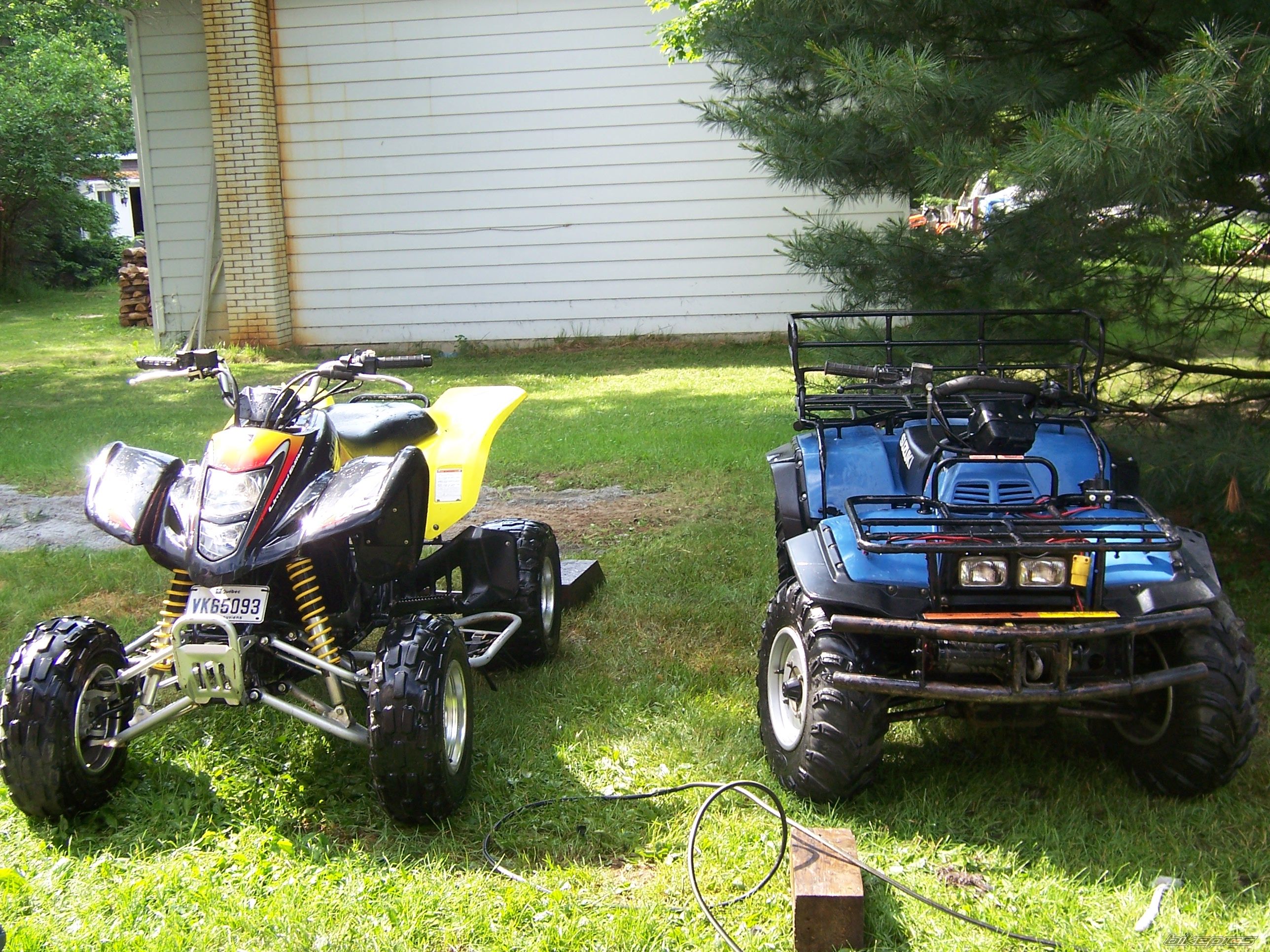 Photo 1376725