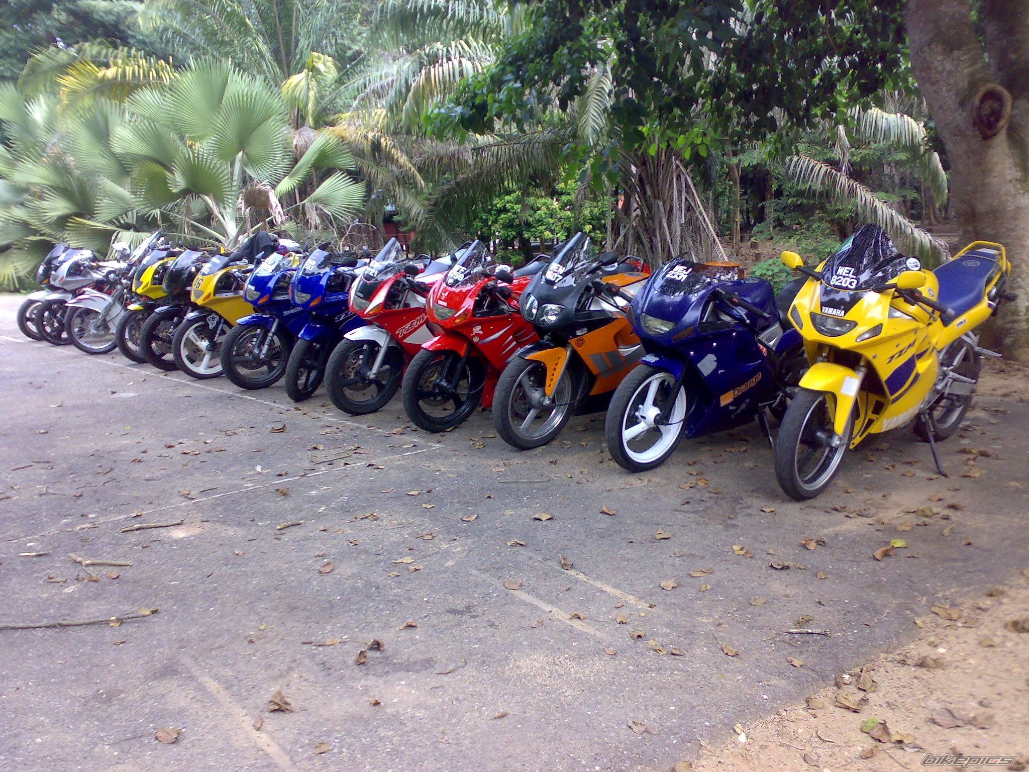 Photo 1376758