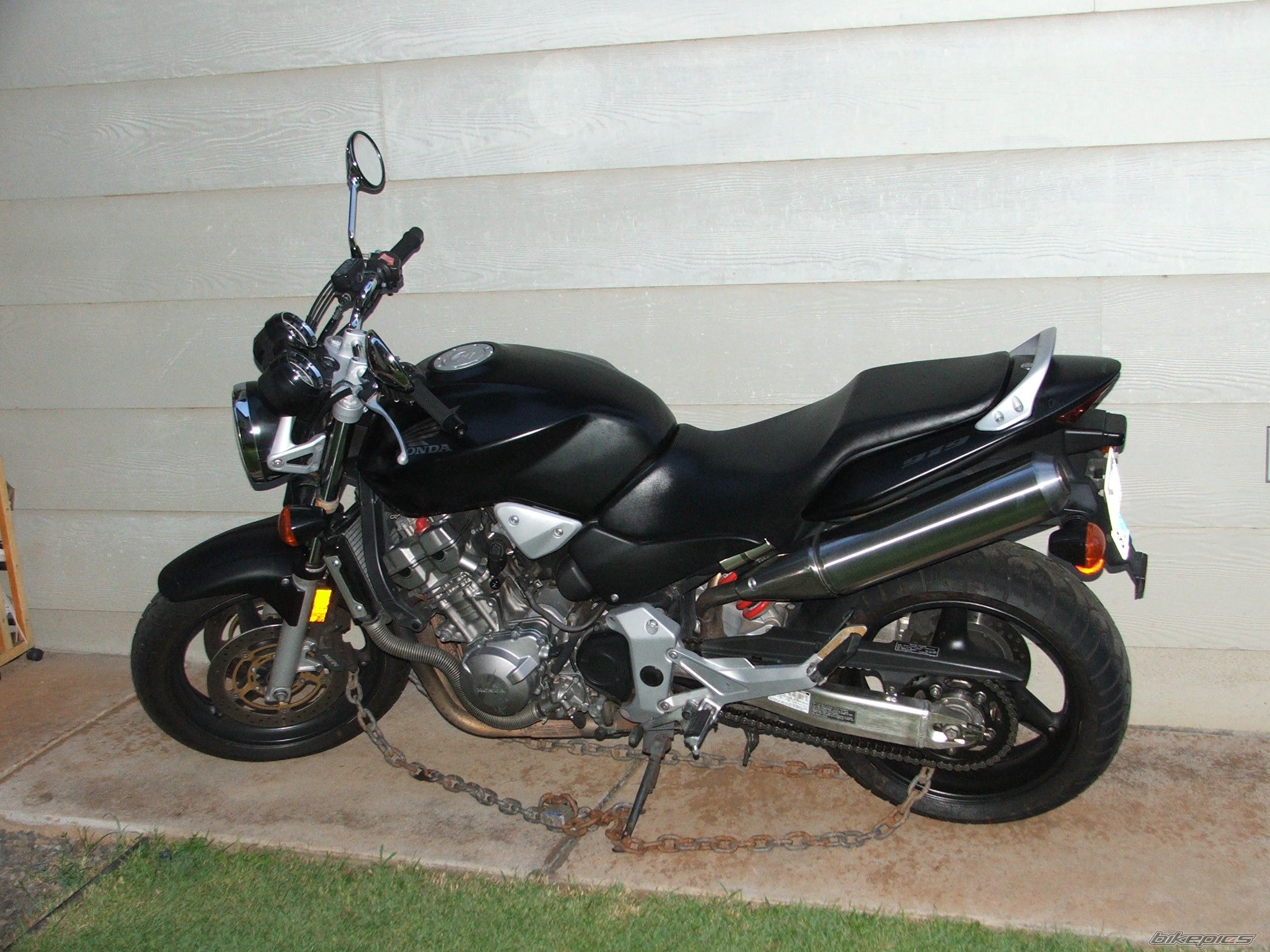 Photo 1376794