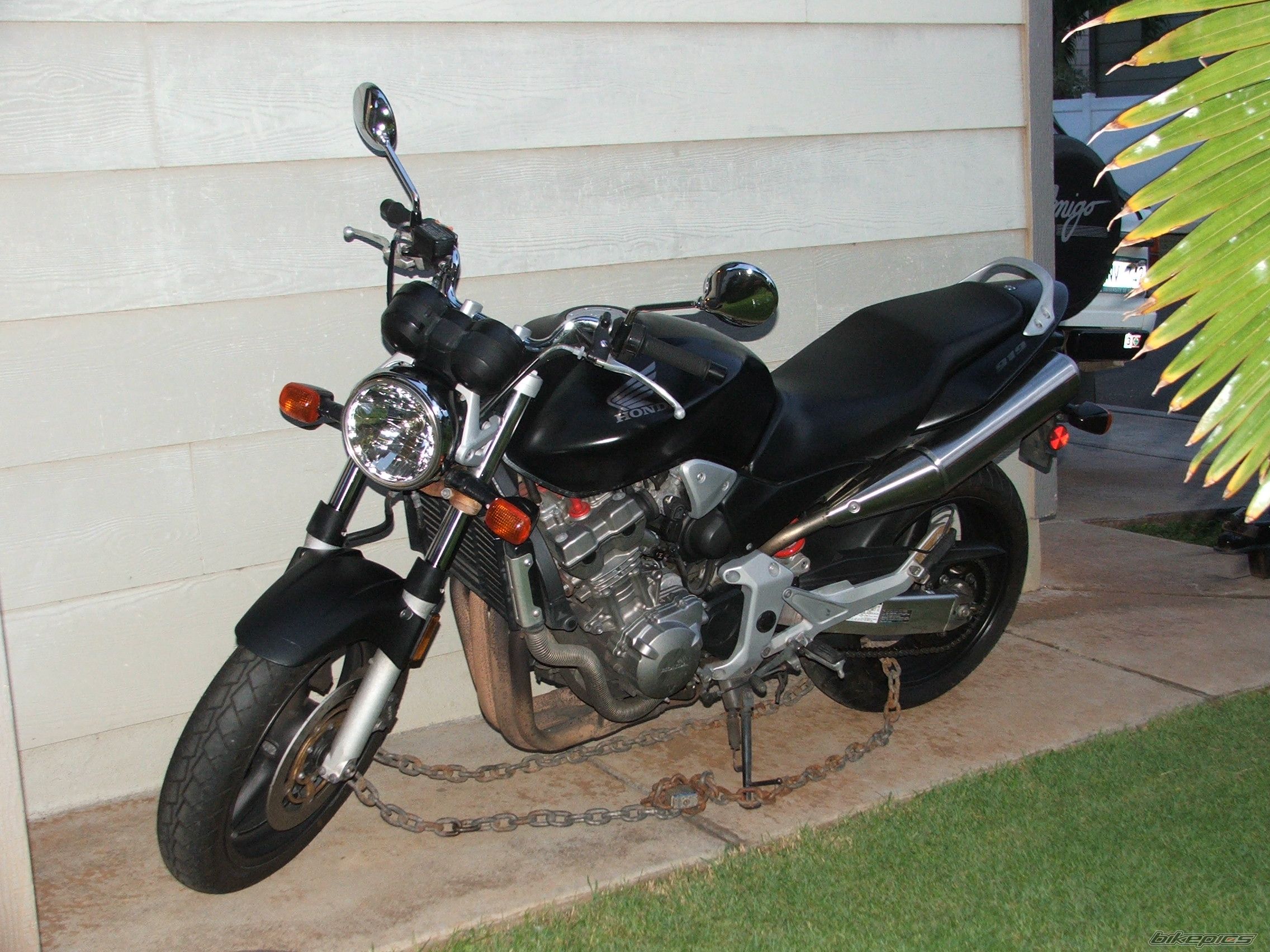Photo 1376795