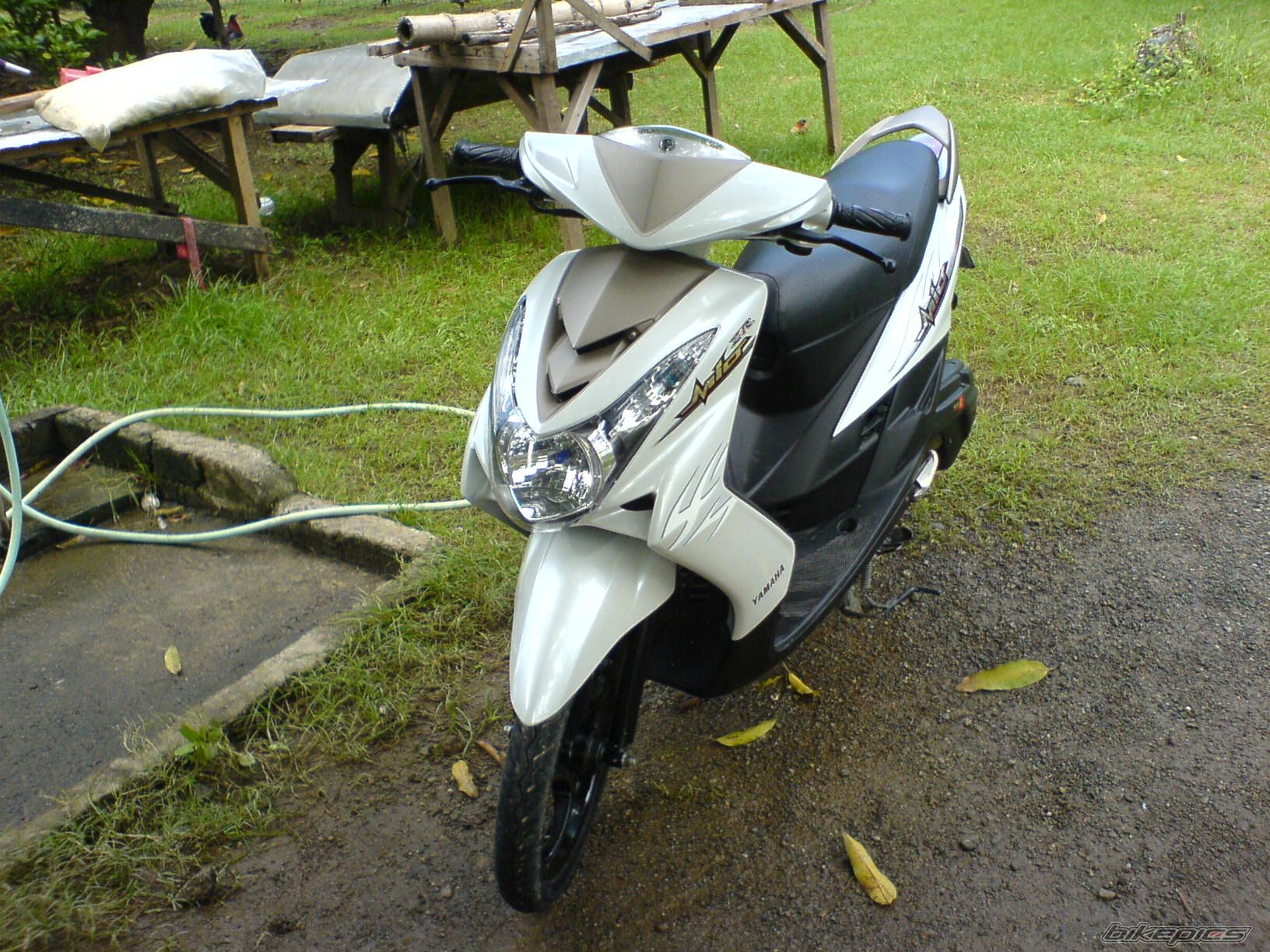 Photo 1376808