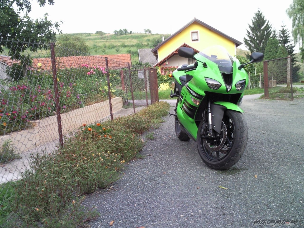 Photo 1376829