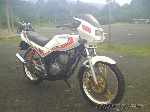 Photo 1376885