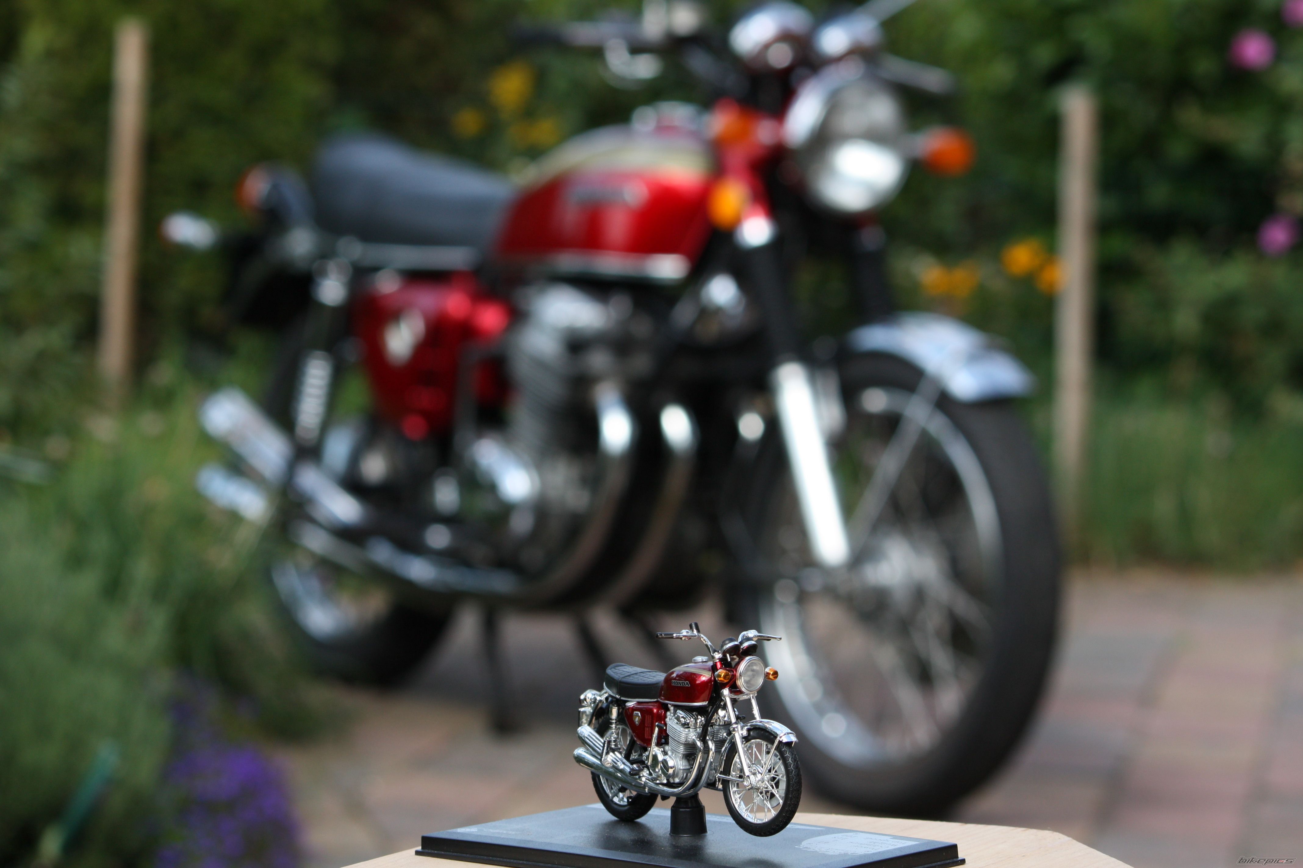 Bike Photo 1376893