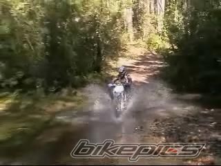 Photo 1376938