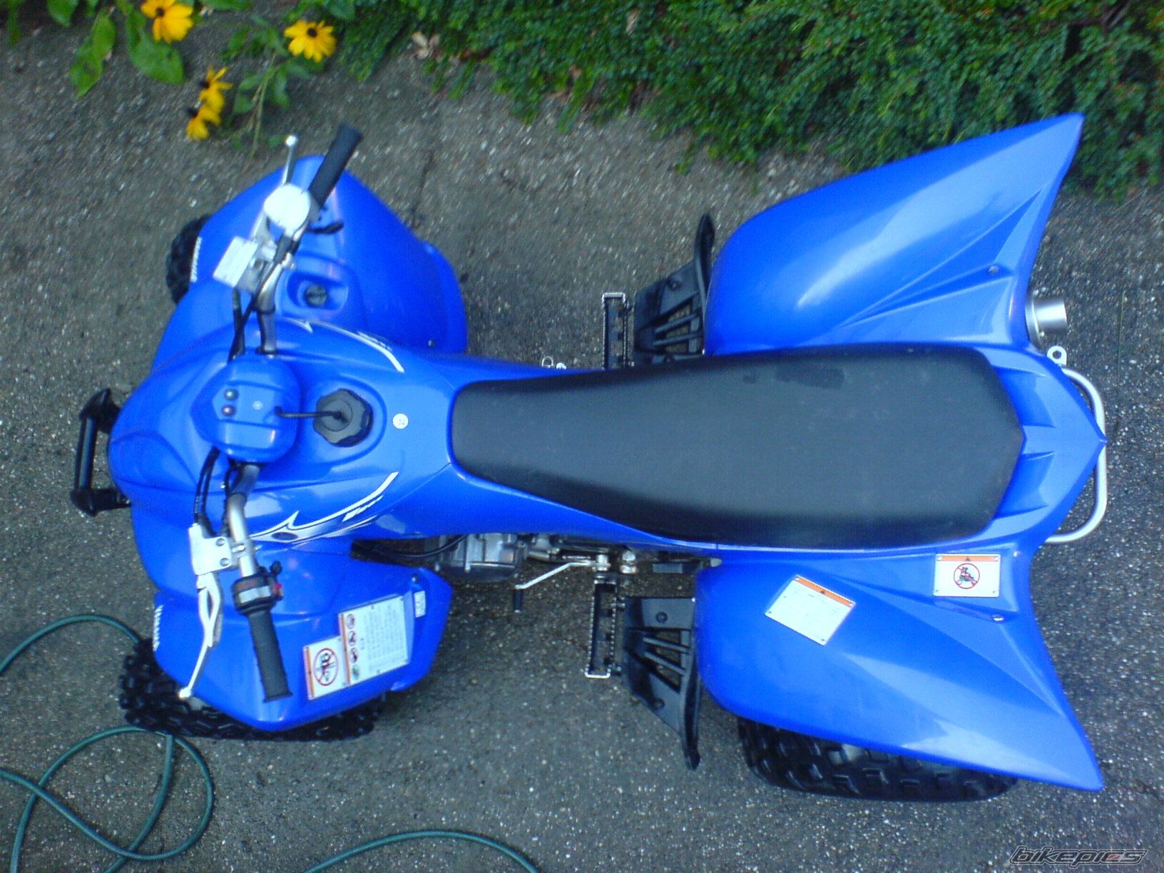 Photo 1377011