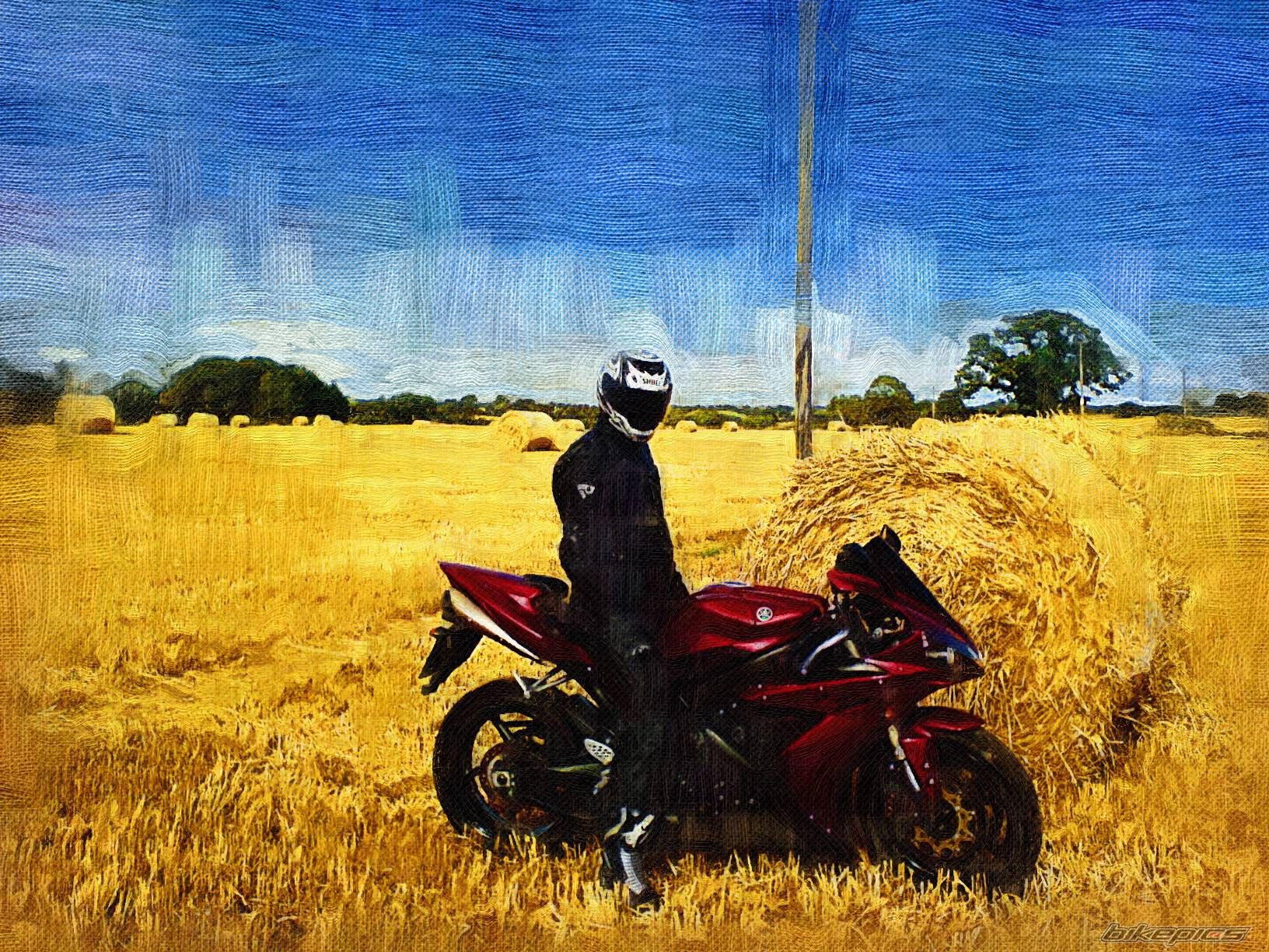 Photo 1377226