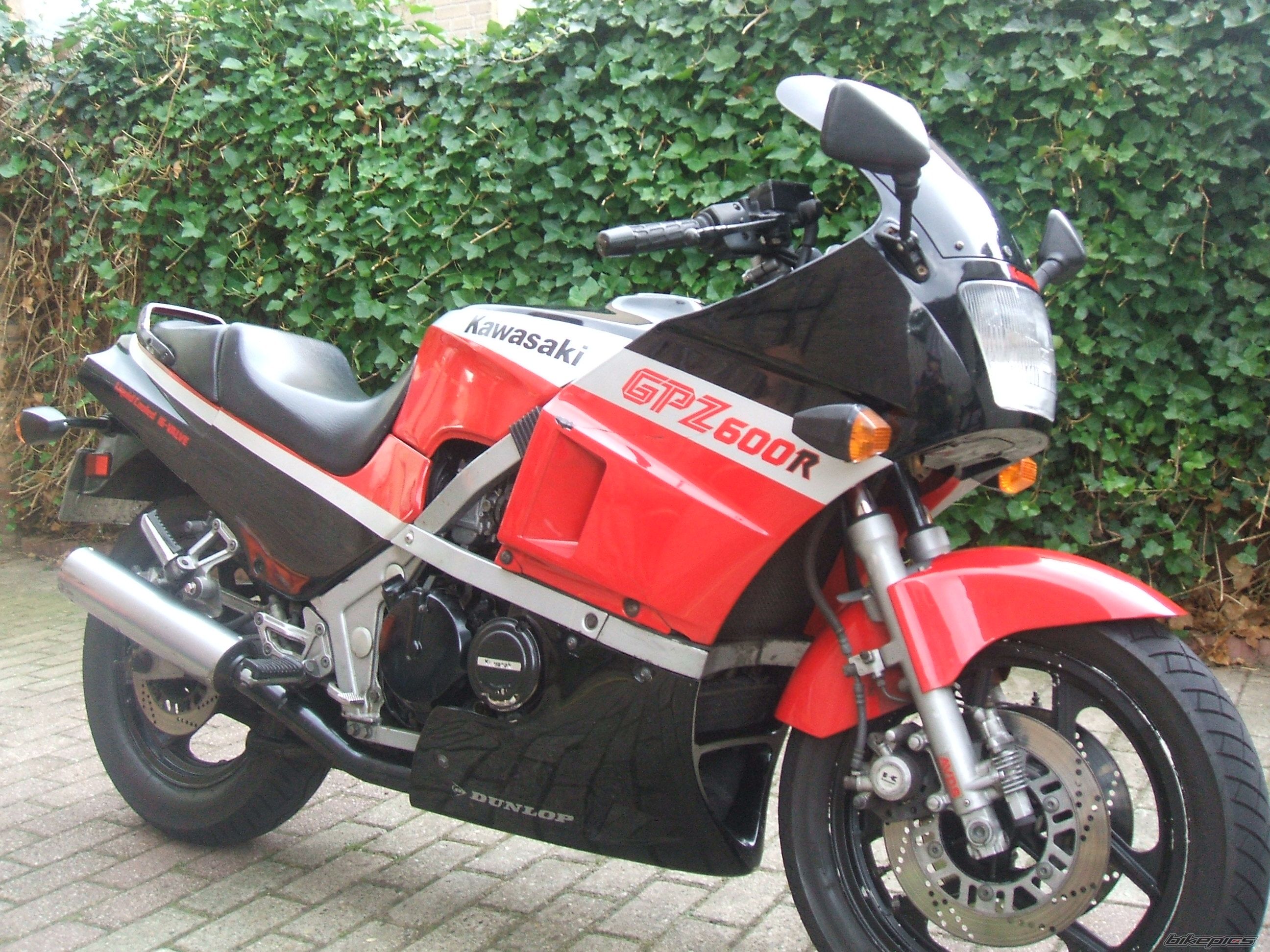 Photo 1377243