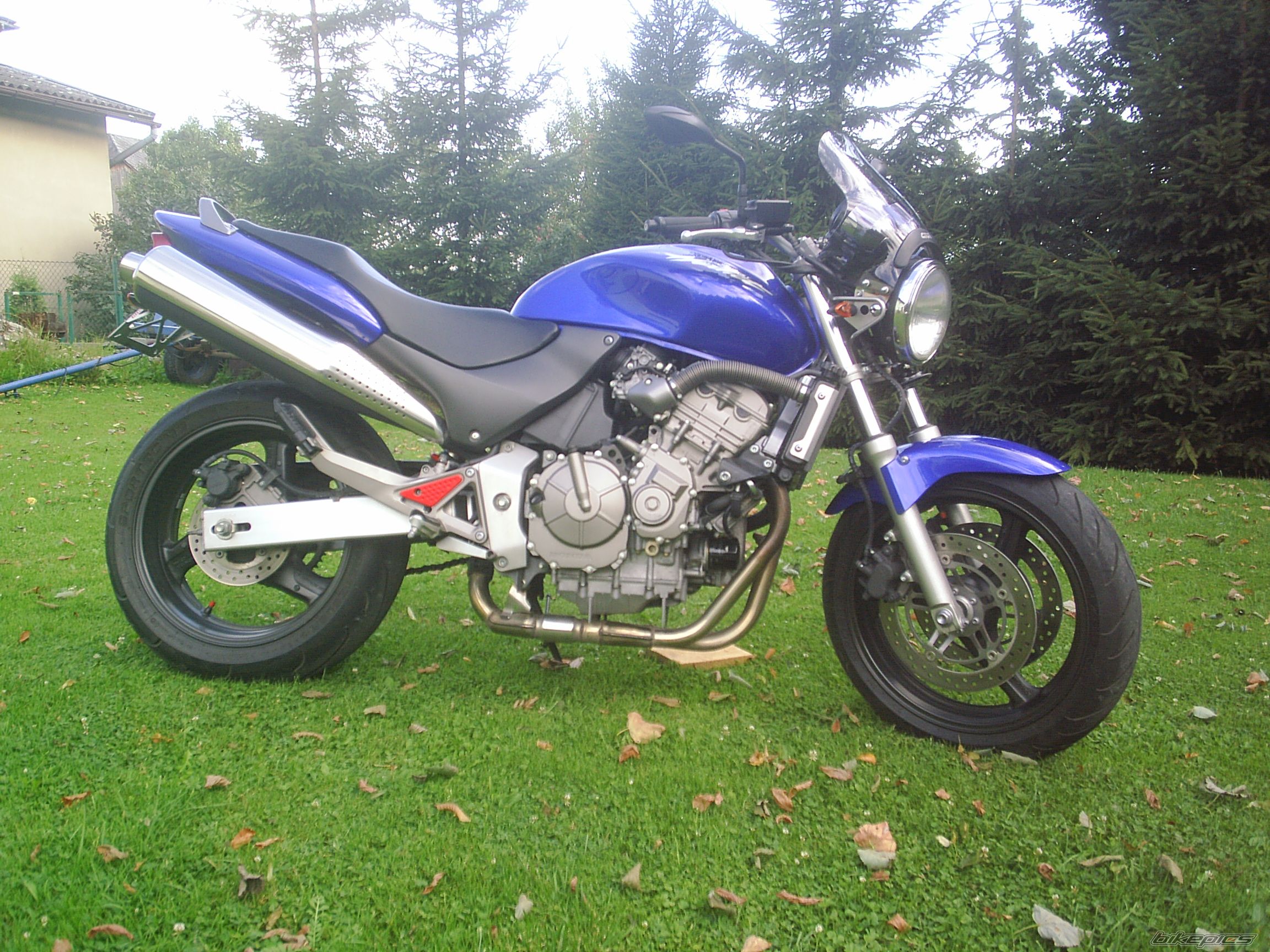 Photo 1377263