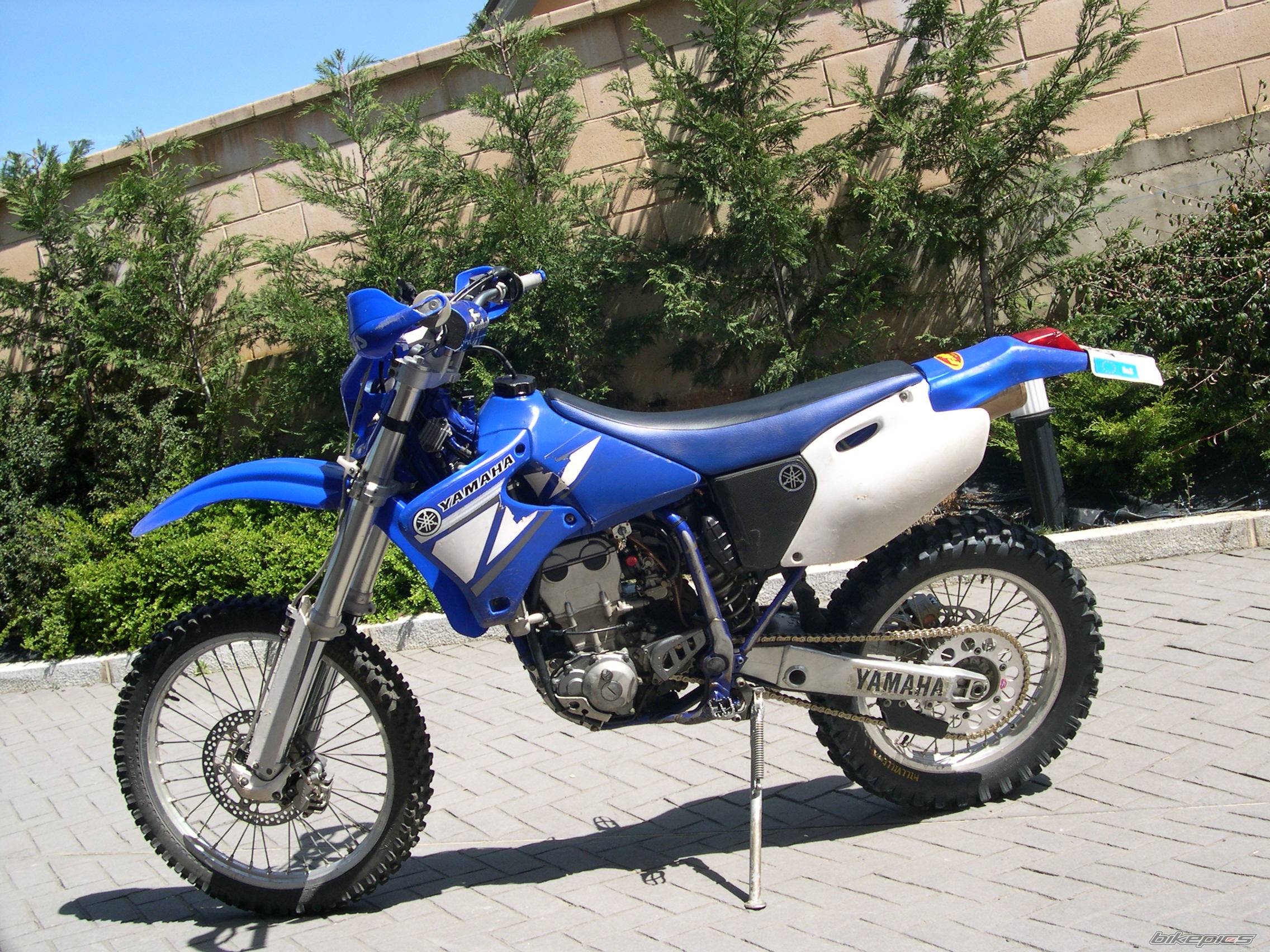 Photo 137728