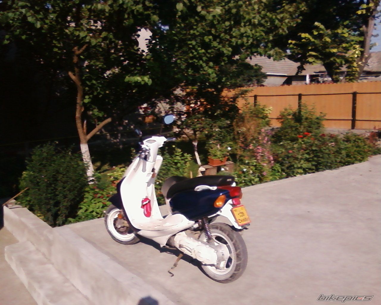Photo 1377396