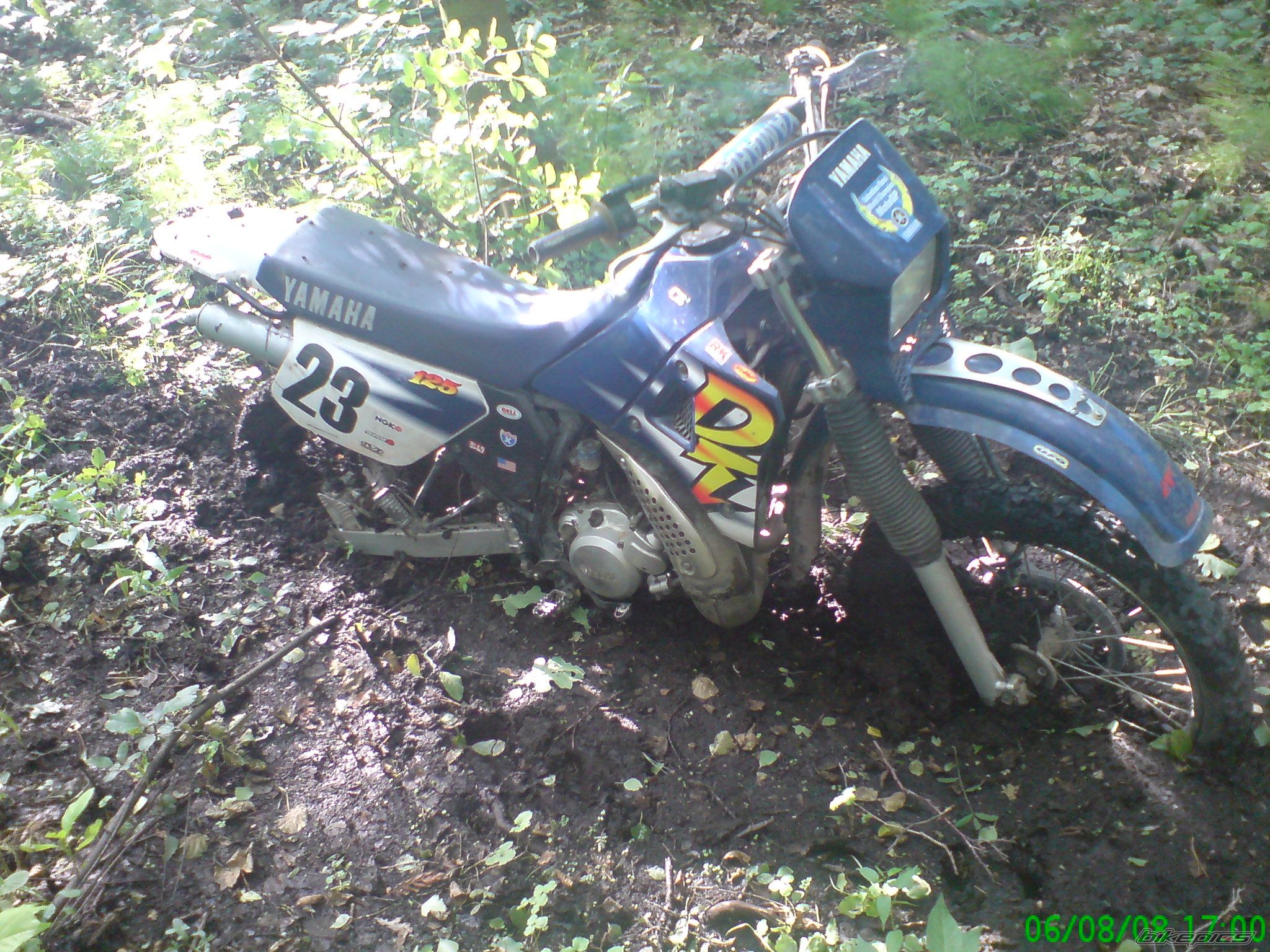 Photo 1377470