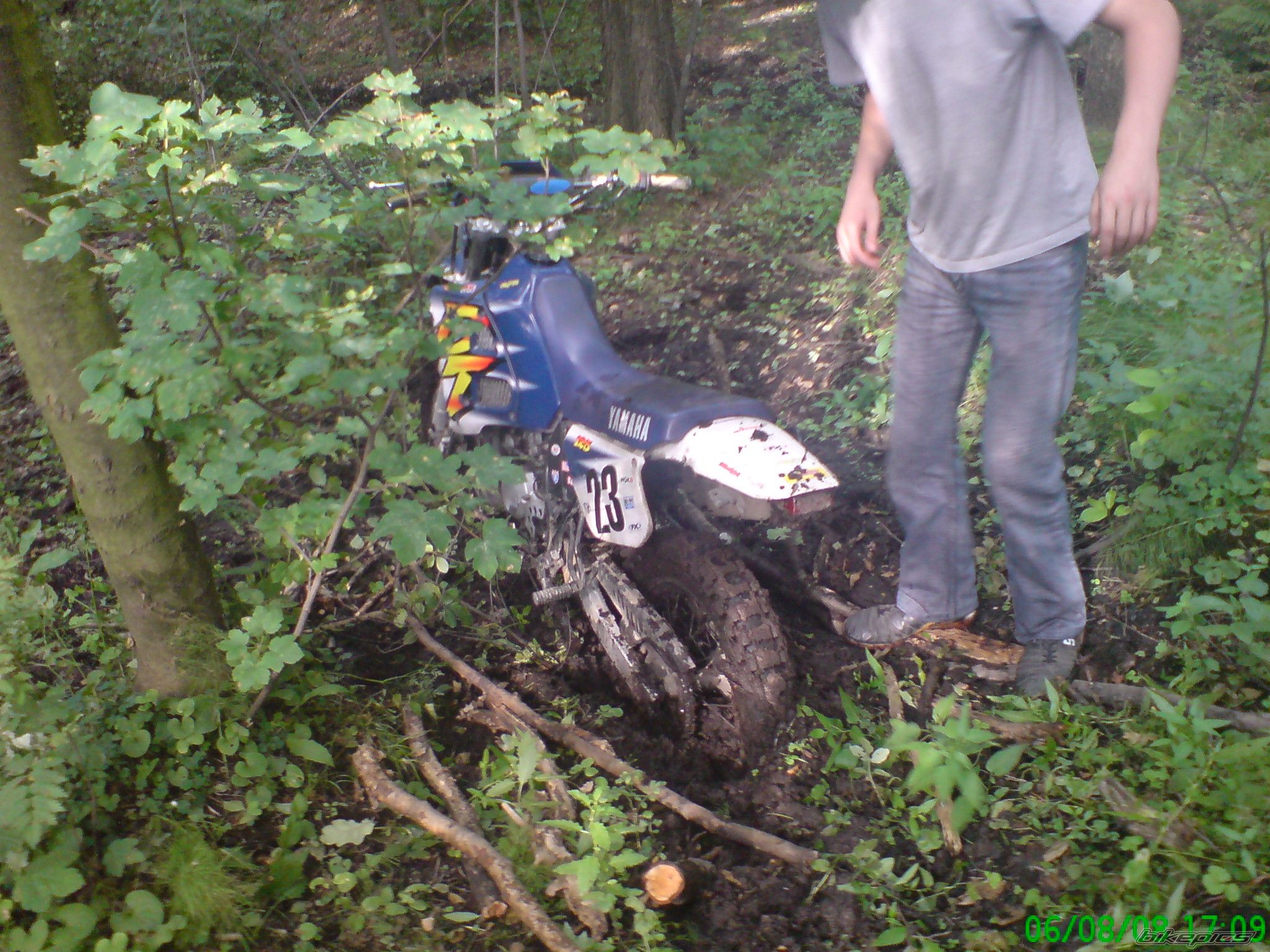 Photo 1377471