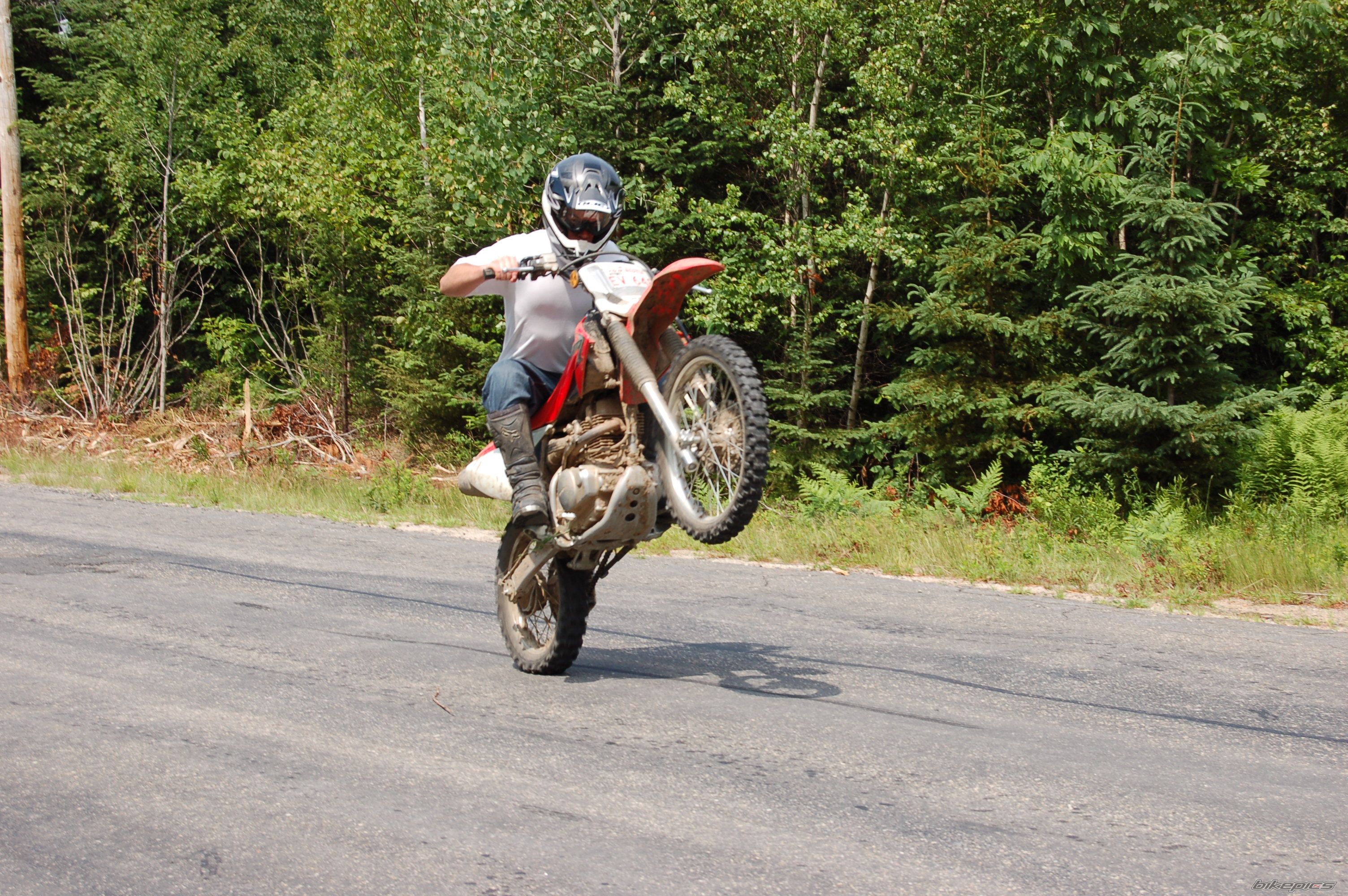 Photo 1377482