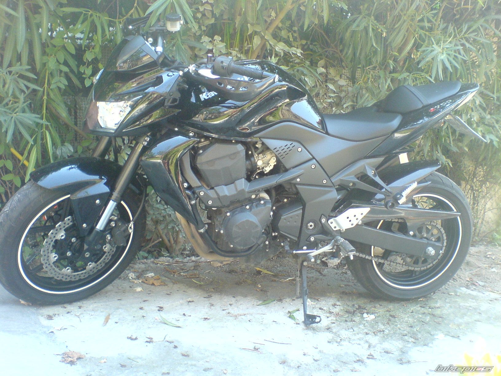 Photo 1377506
