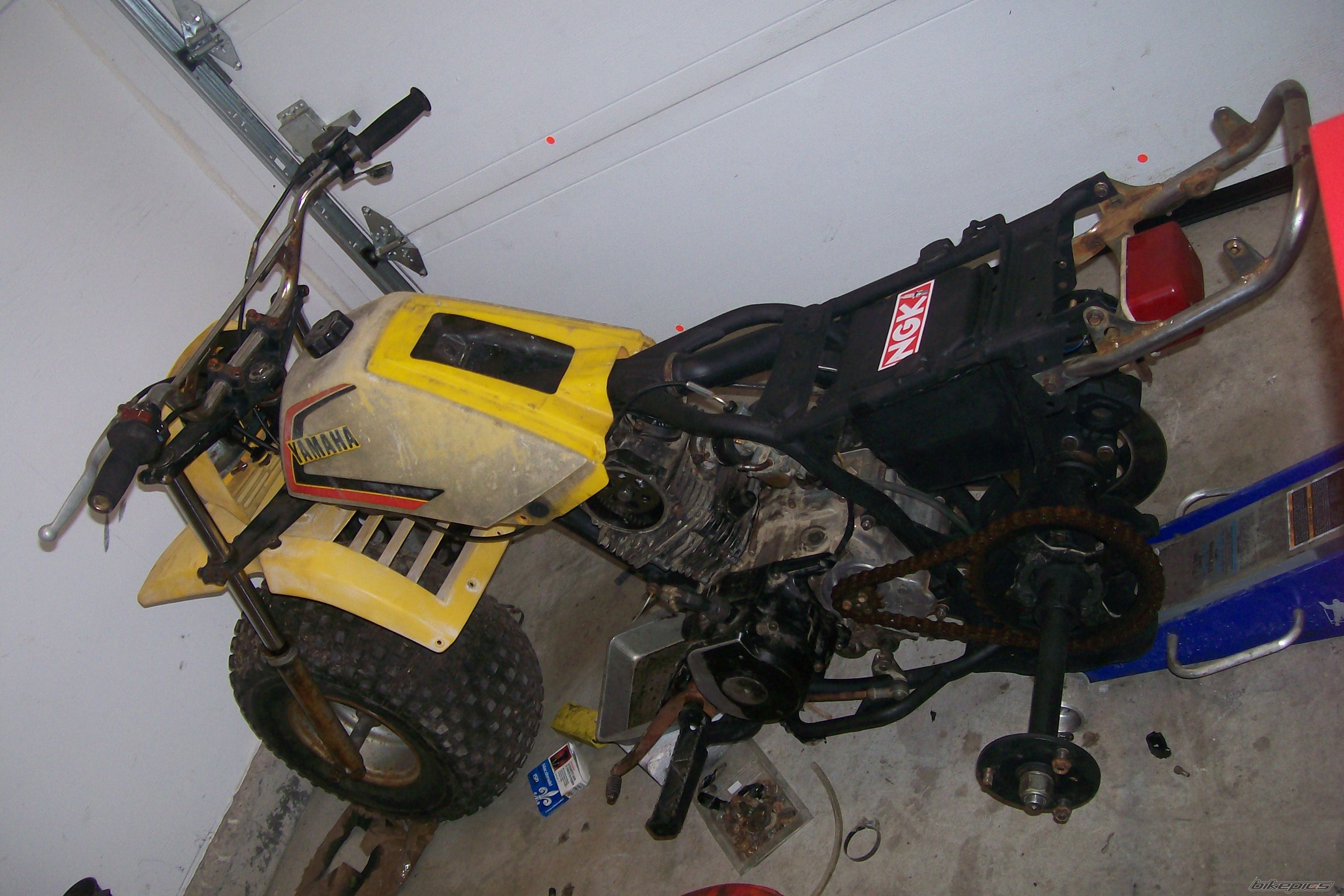 Photo 1377713