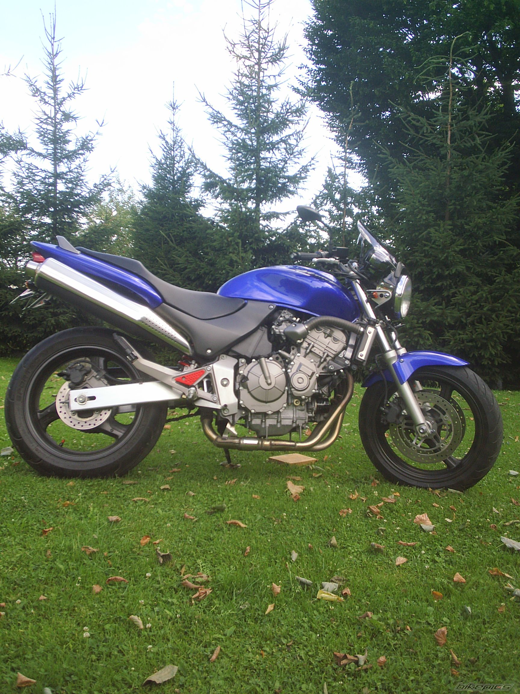 Photo 1377756