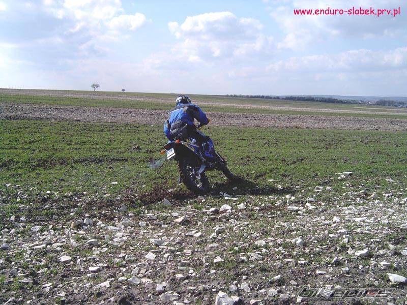 Photo 137777