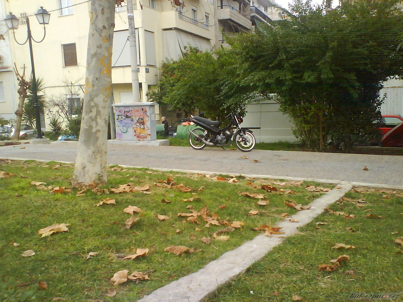 Photo 1377819
