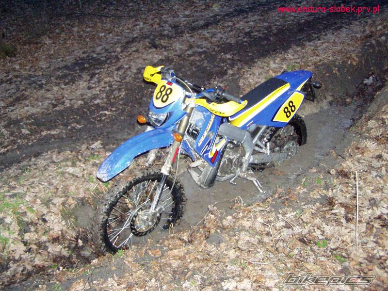 Photo 137782
