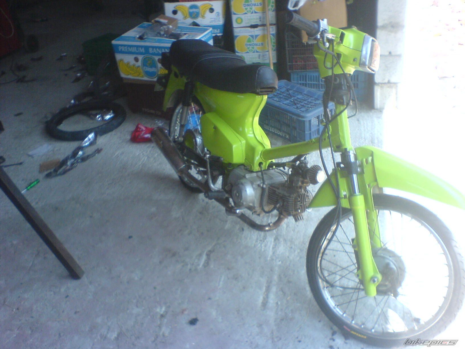 Photo 1377941