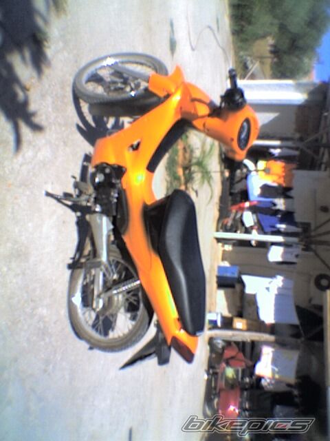 Photo 1377969
