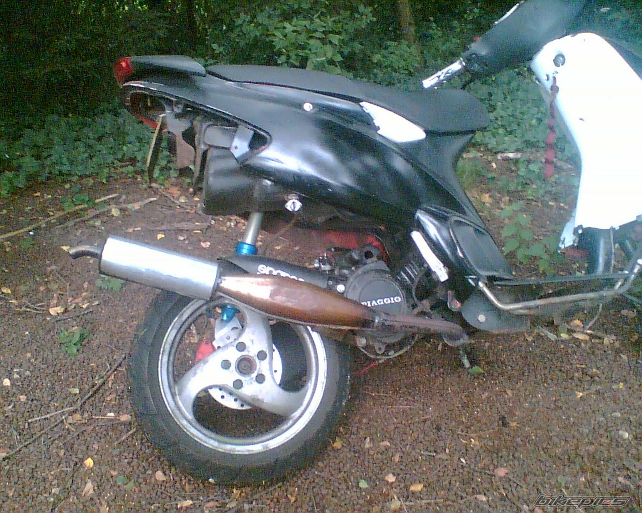 Photo 1378128