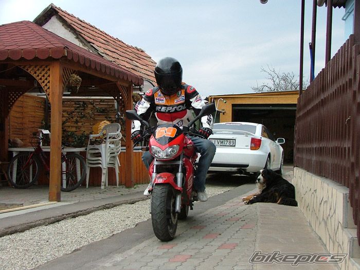 Photo 1378136