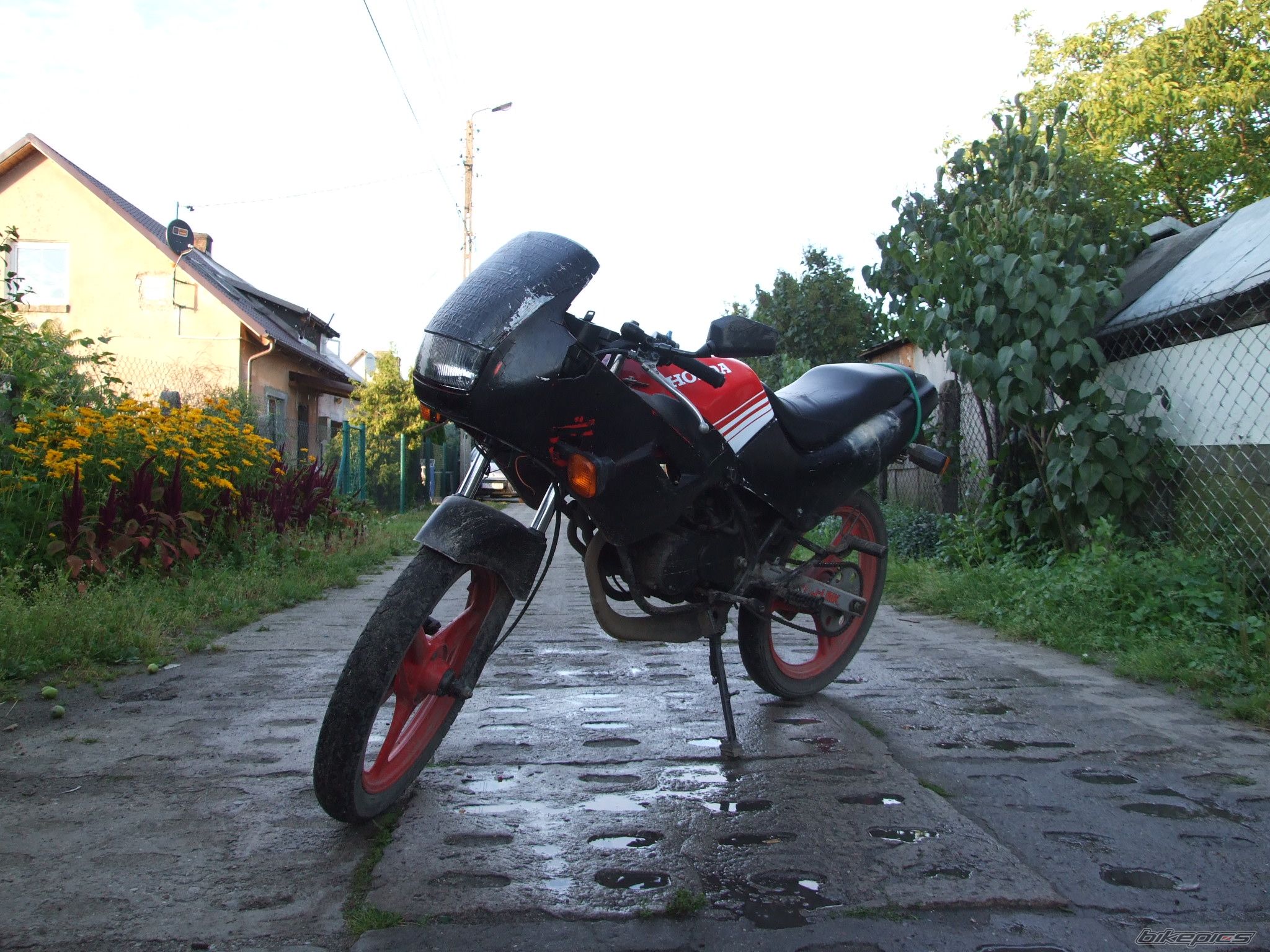 Photo 1378145