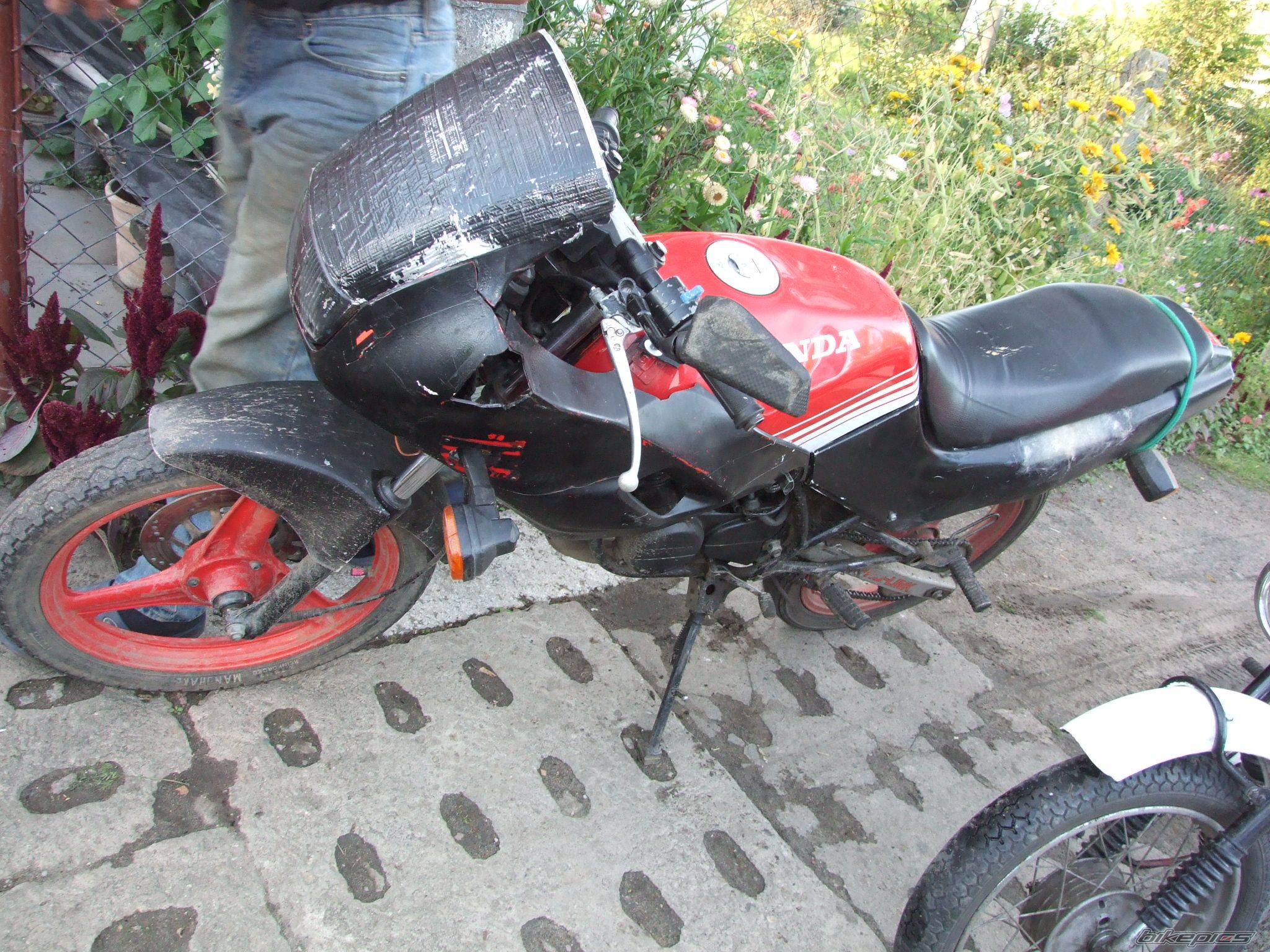 Photo 1378151