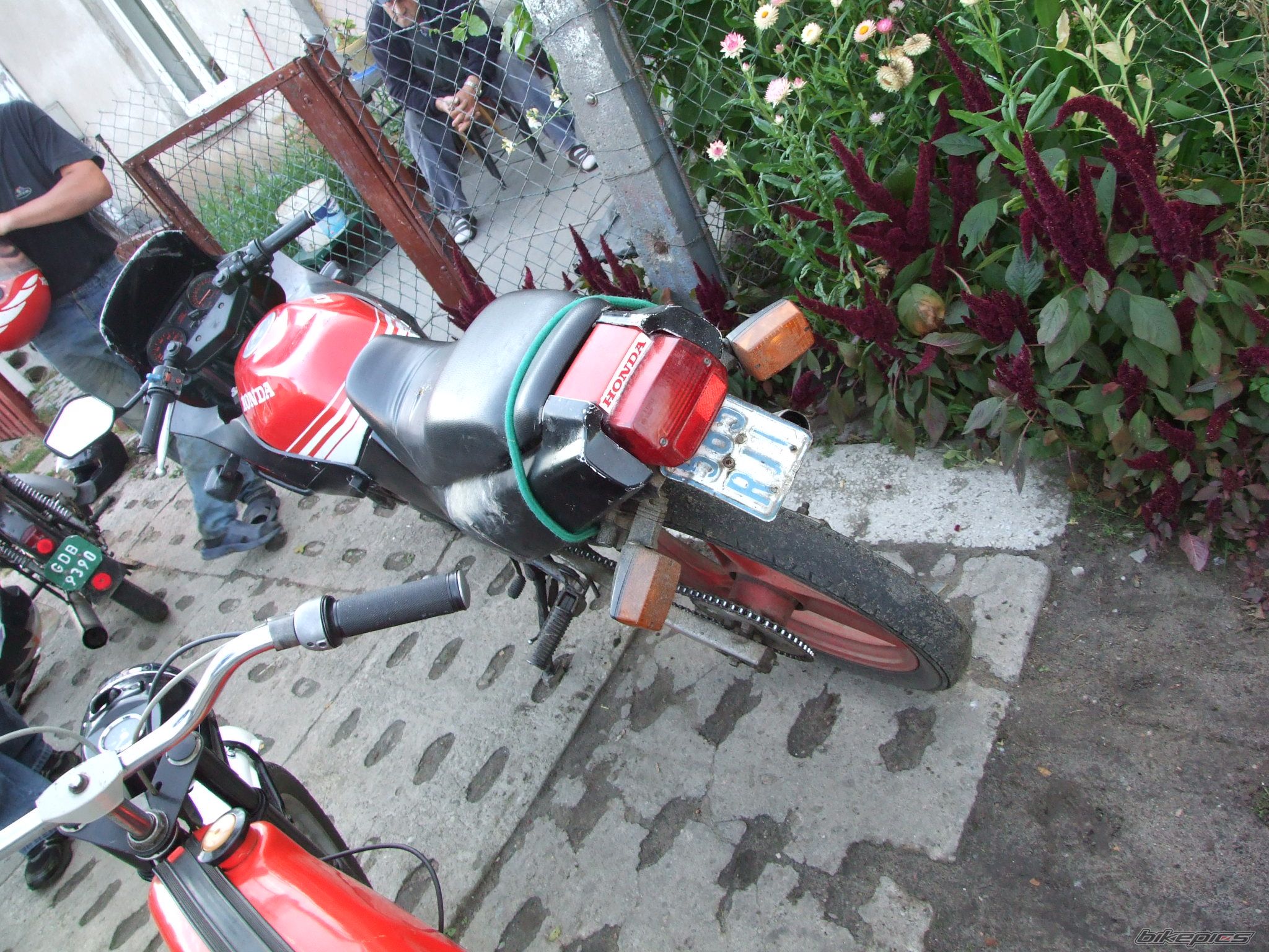 Photo 1378152