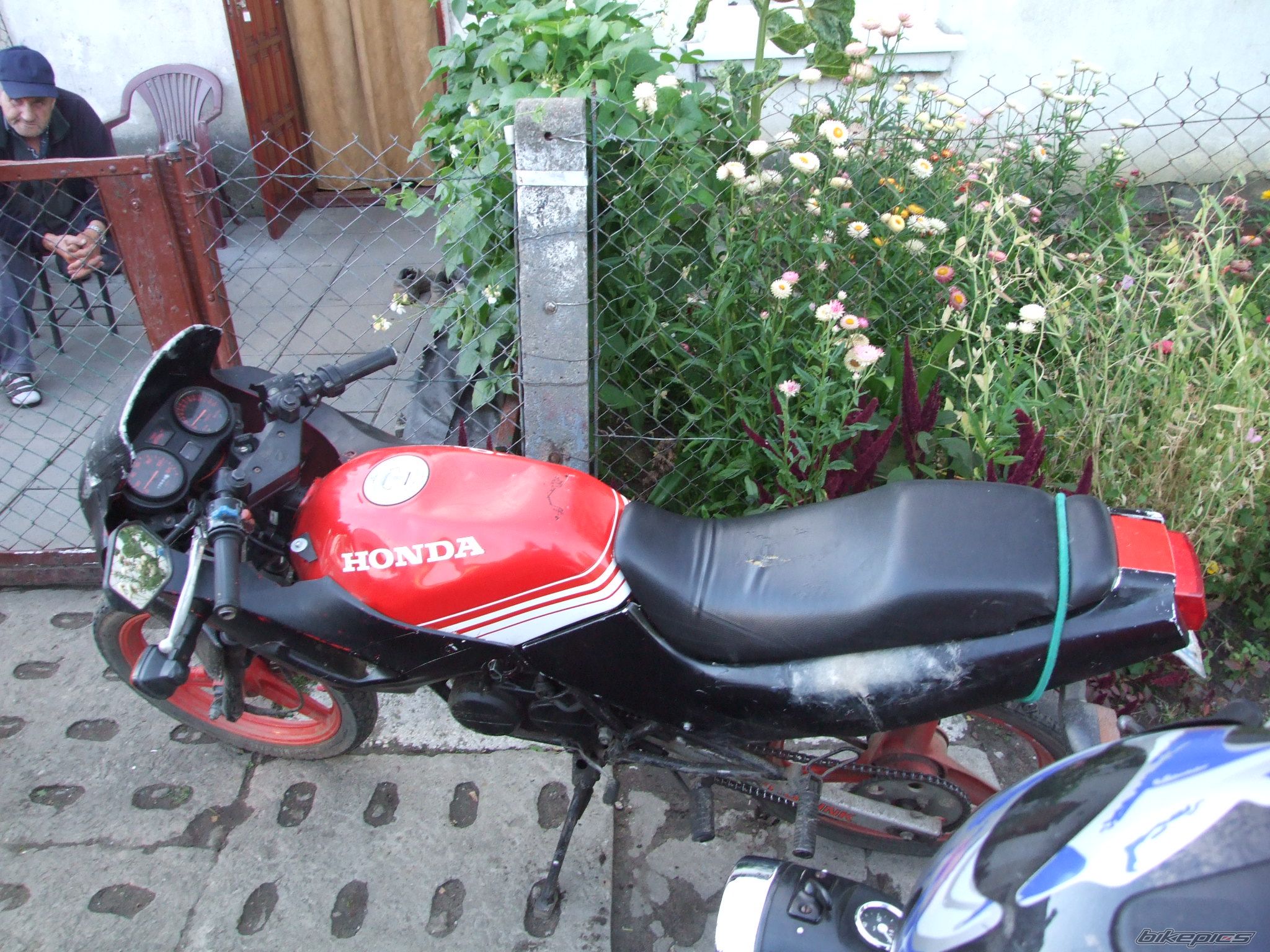 Photo 1378153