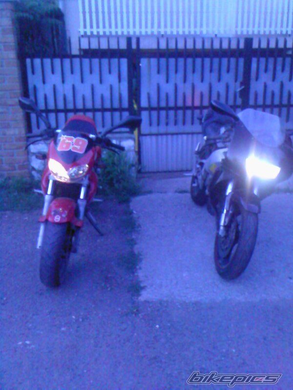 Photo 1378160